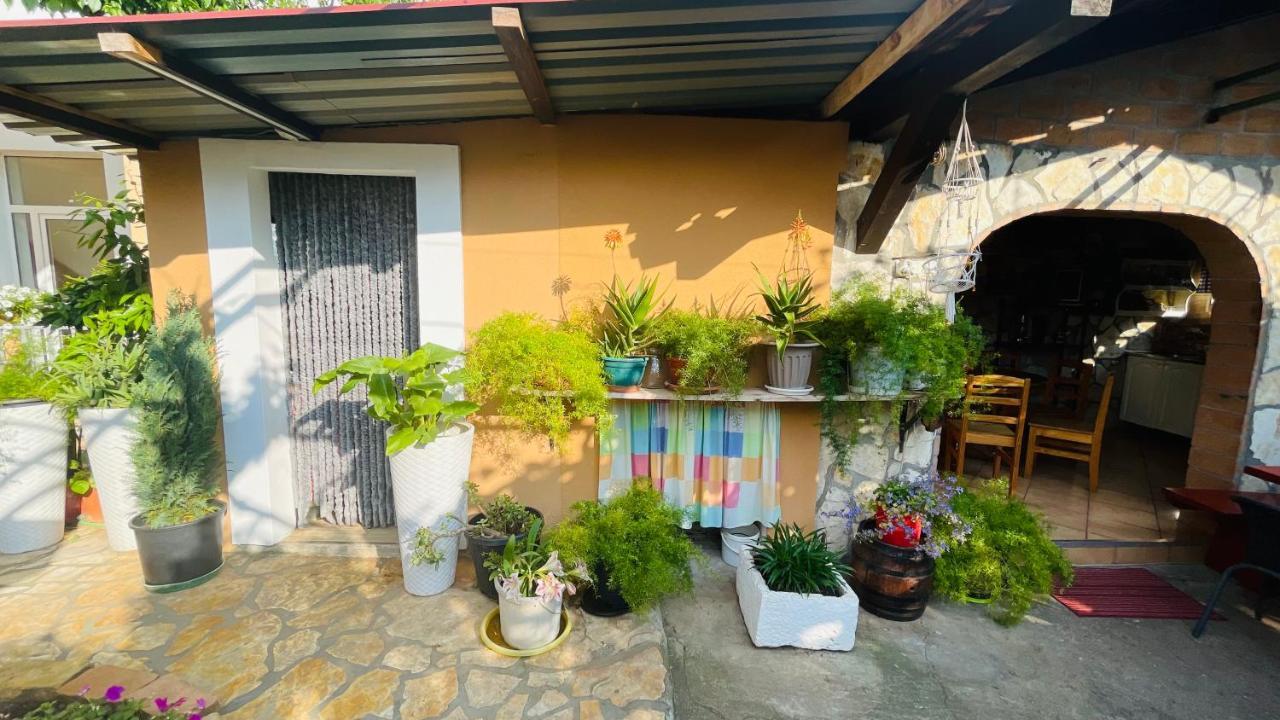 Colorful And Happy Apartment Sukosan - With Parking Kültér fotó